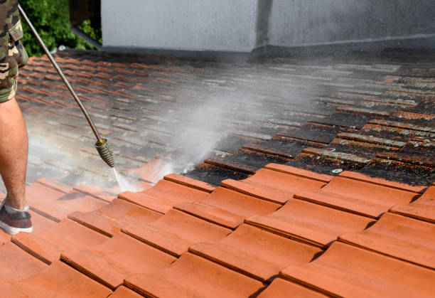 Best Pressure Washing Company Near Me  in Elmwood Park, NJ