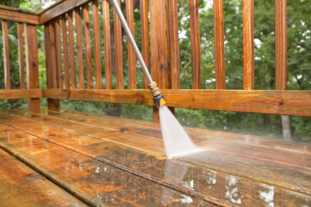 Best Exterior Home Cleaning  in Elmwood Park, NJ